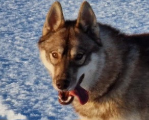 Alcateia Das Neves Agathe