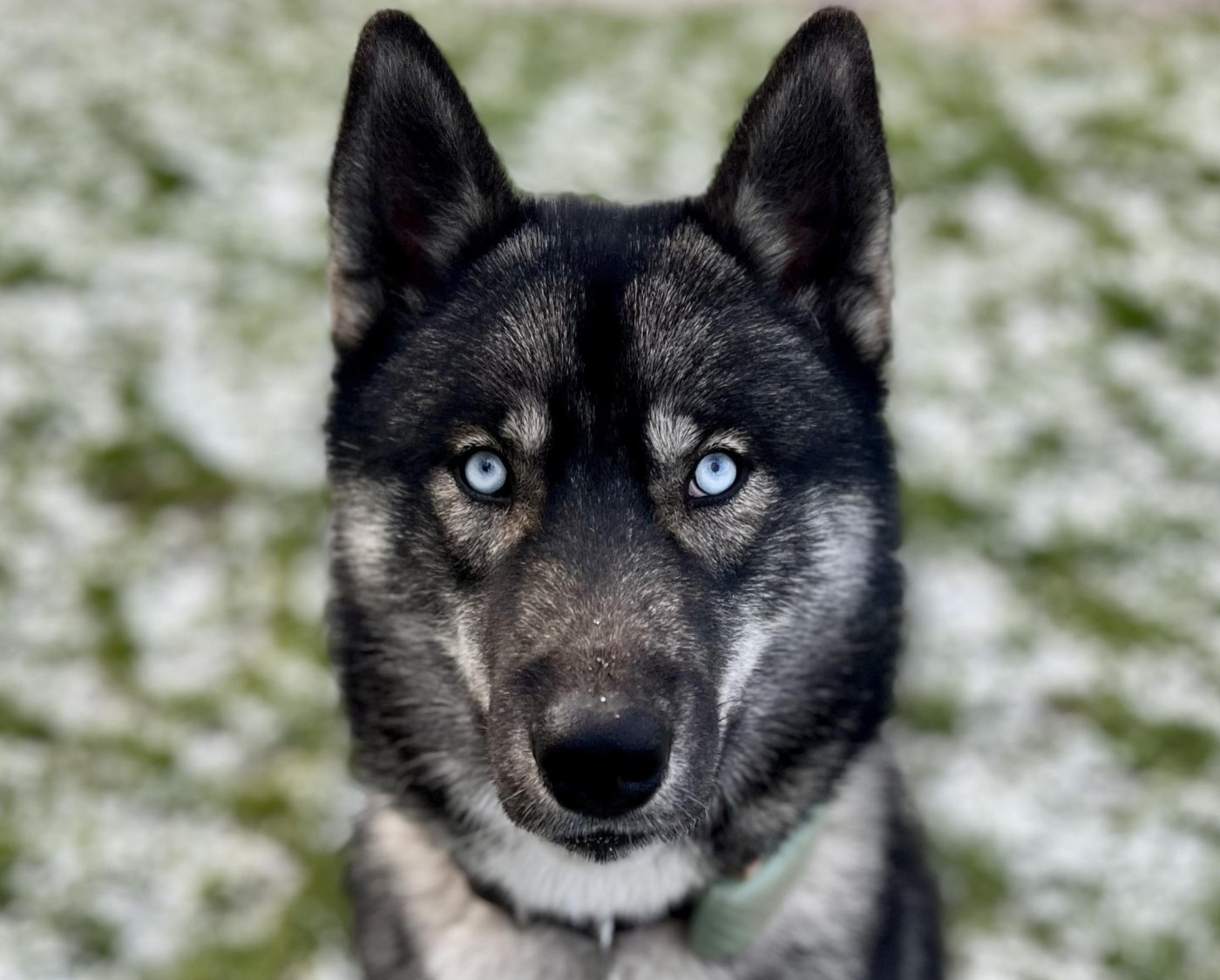 Alcateia Das Neves Akatsuki sasuke