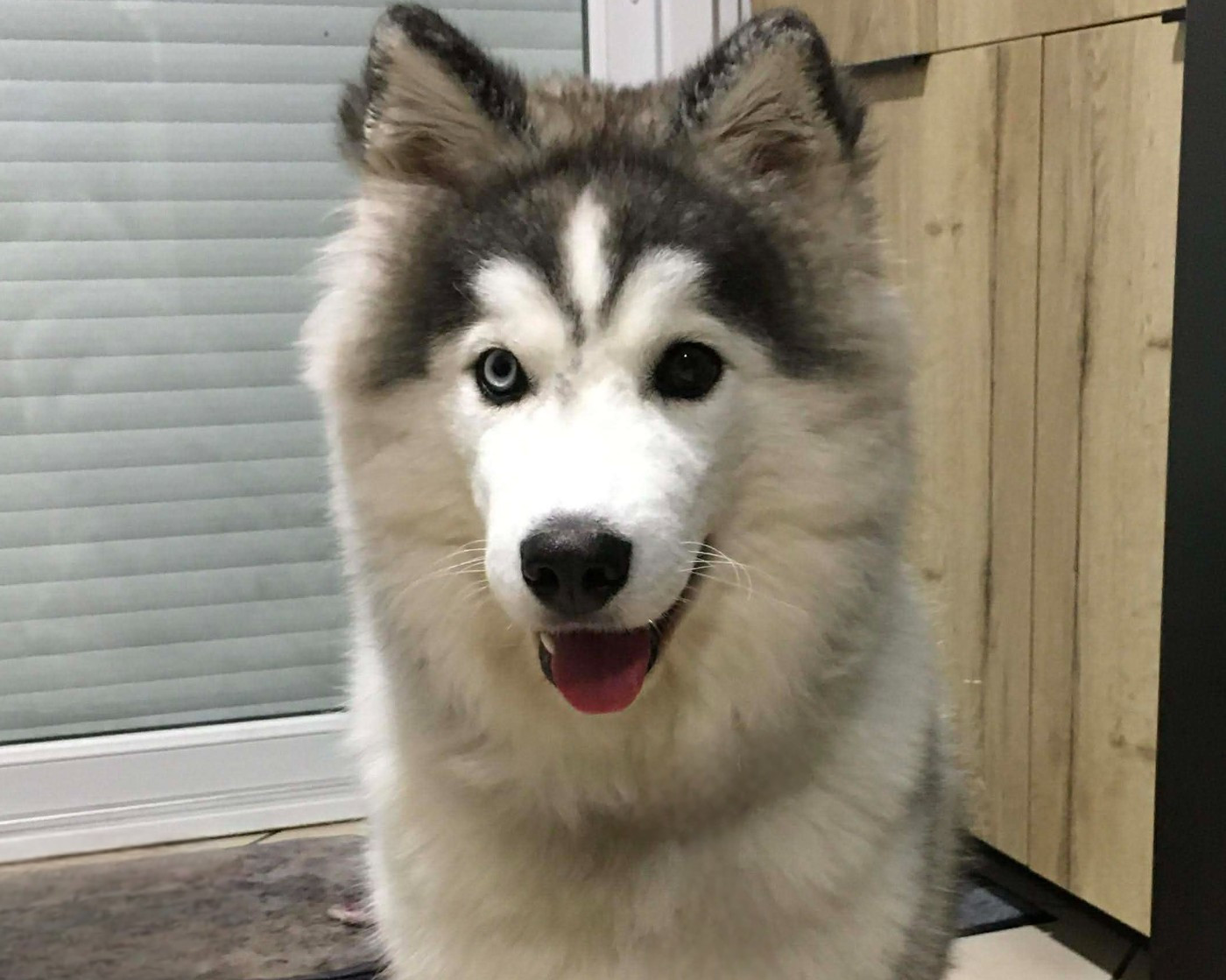 Alcateia Das Neves Avanah