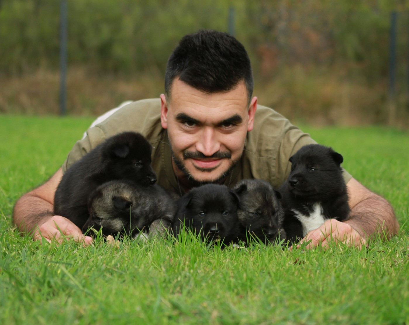 Alcateia Das Neves - Siberian Husky - Portée née le 05/10/2025