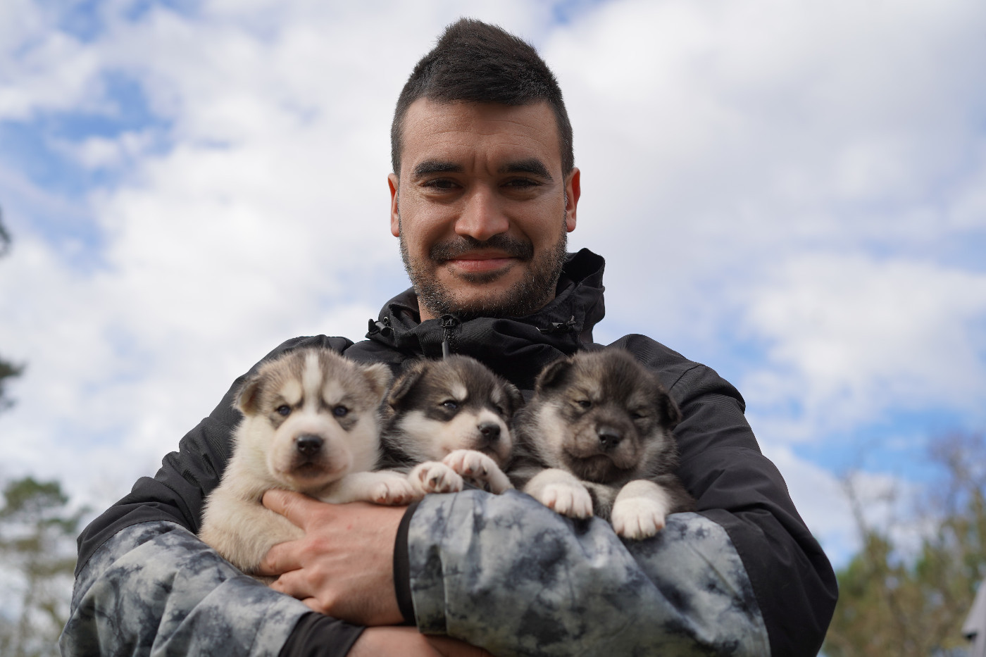 Alcateia Das Neves - Siberian Husky - Portée née le 09/01/2026