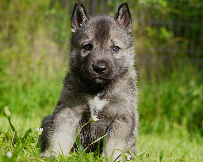 BEORN